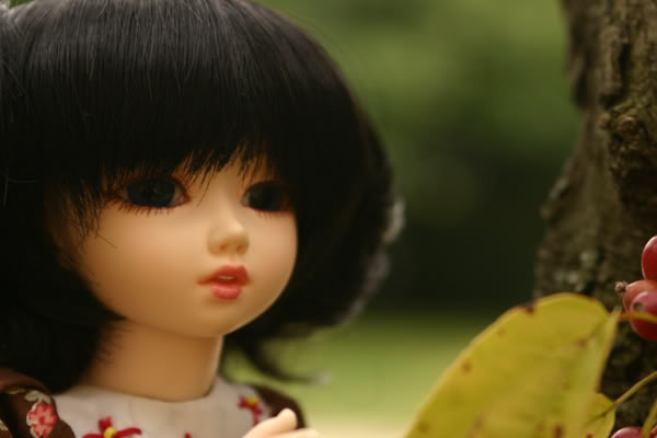 Luts Cutie Delf Cory